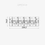 Luis Option 21