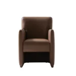 Go Accent Chair (Fixed)