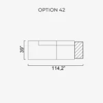 Cubic option 42