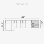 Orion Option 21