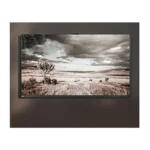 Madlen TV Panel